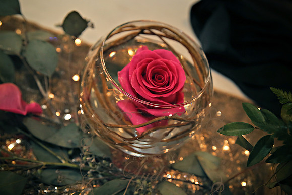 Decor & Details (11)