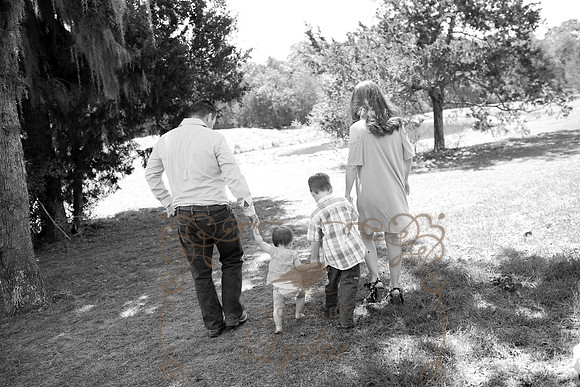 5V3B8484bw
