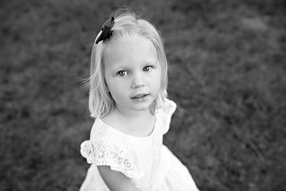 5V3B9541bw