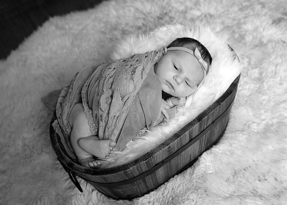 5V3B9581bw