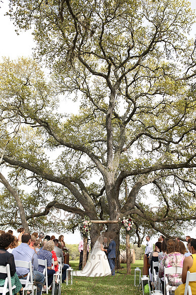 Ceremony (30)