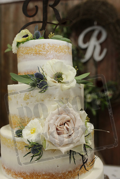 Cake & Toasts (4)