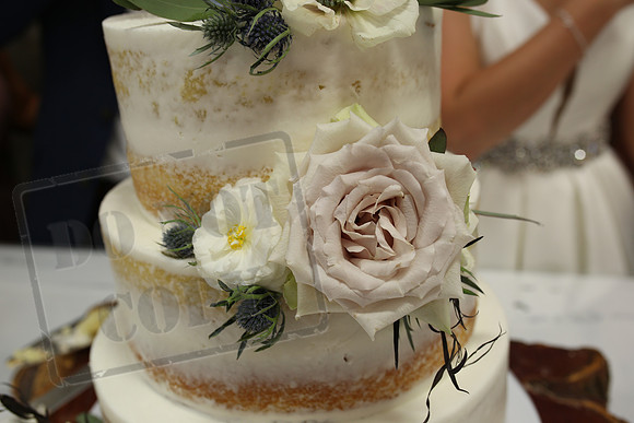 Cake & Toasts (21)