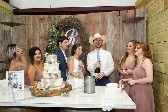 Cake & Toasts (24)