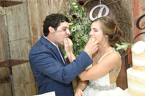 Cake & Toasts (13)