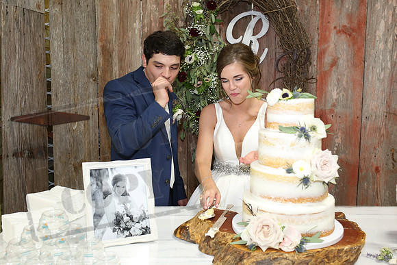 Cake & Toasts (15)