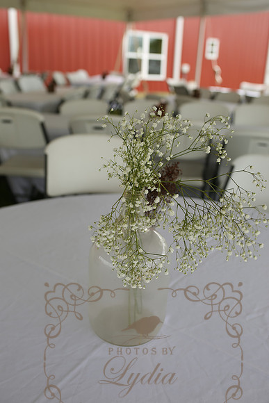 Decor (1)