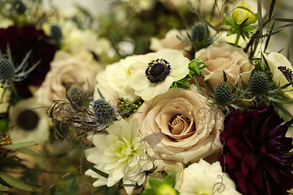 Decor (20)