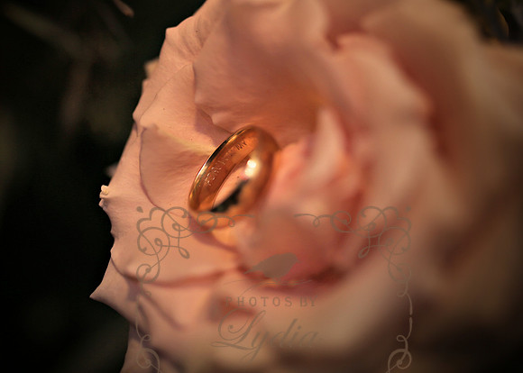 Decor (42)