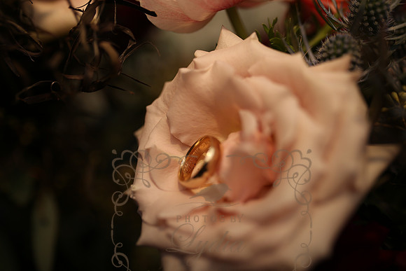 Decor (41)