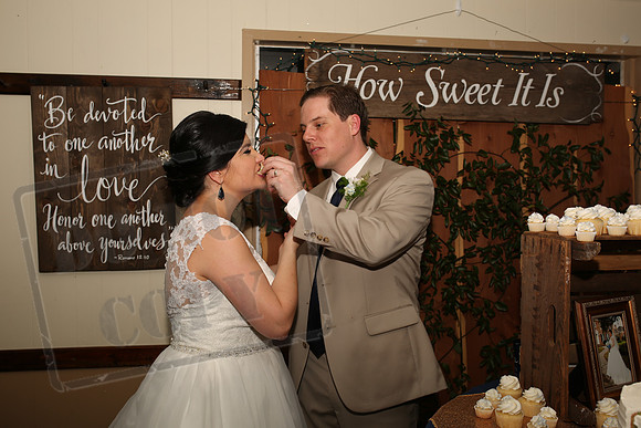 Cake & Toasts (9)