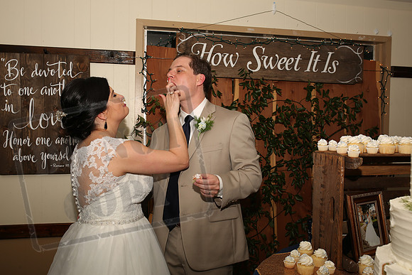 Cake & Toasts (10)