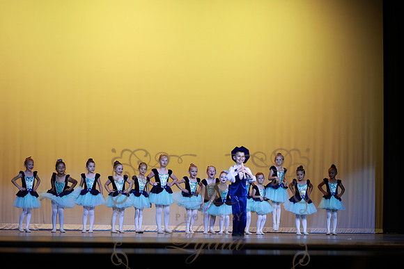 Pied Piper (65)