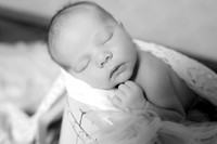 5V3B8078bw