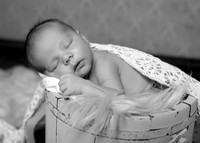 5V3B8084bw