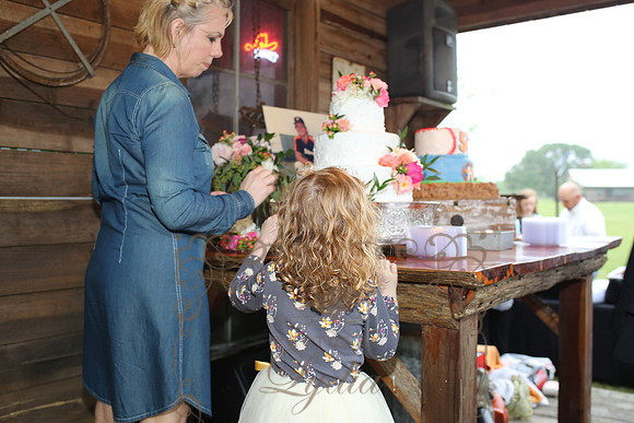 Cake (24)