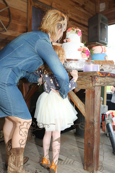 Cake (25)