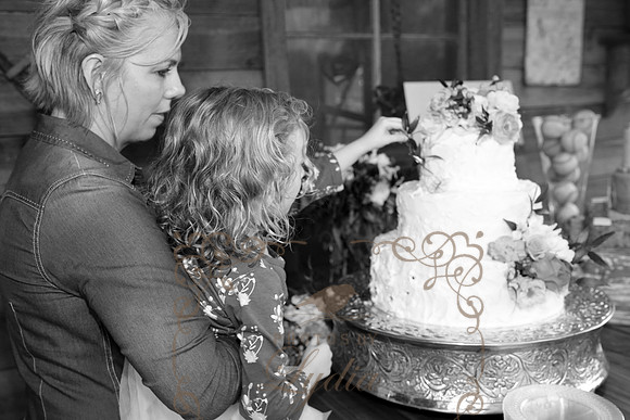 Cake (26)