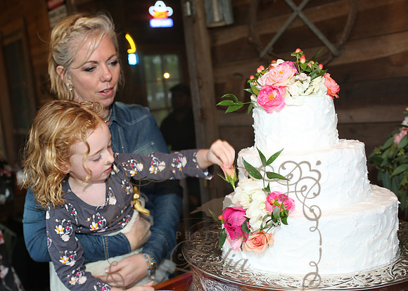 Cake (27)