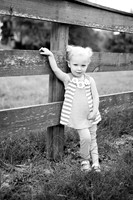 5V3B7980bw