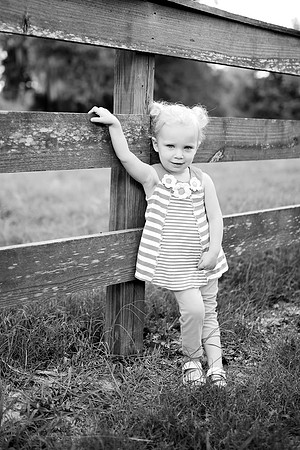 5V3B7980bw