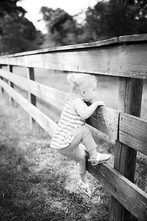 5V3B7973bw