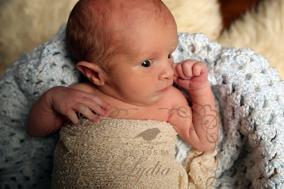 Bryson (5)