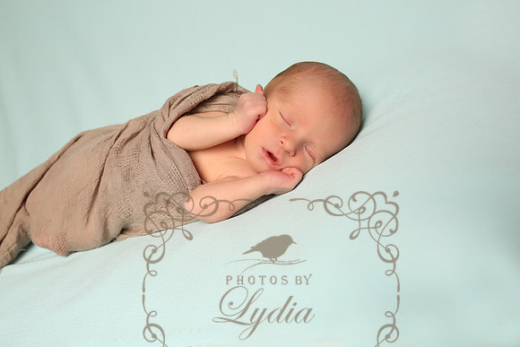 Bryson (29)