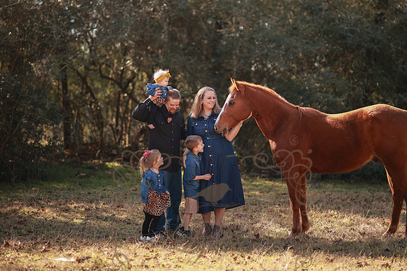 Family-134