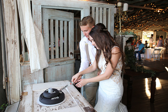 Cake & Toasts (16)