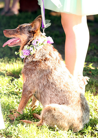 Ceremony (75)