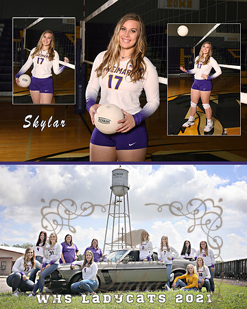 CollageSkylar