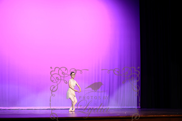 Don Quixote (2)