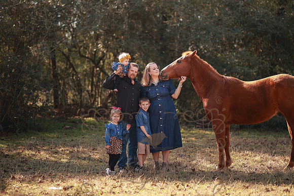 Family-128