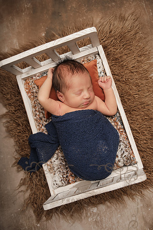 Aiden-0856
