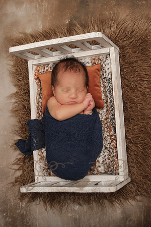Aiden-0842