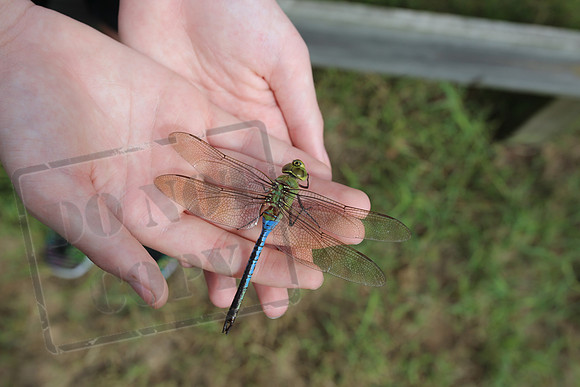 5V3B7113