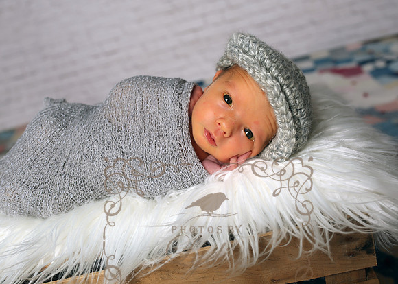 owen (39)
