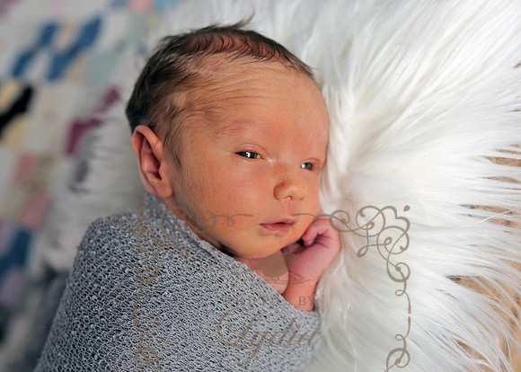 owen (55)