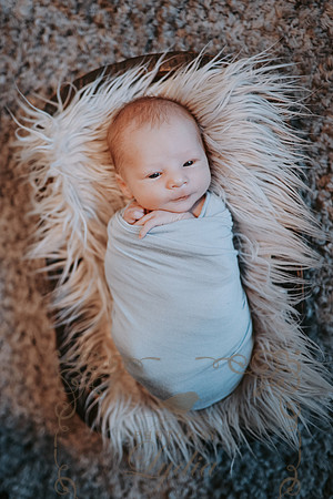 Knox-1