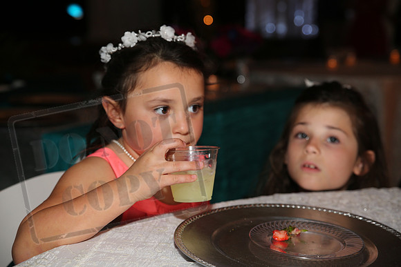 Reception (29)