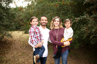 B Family (7)