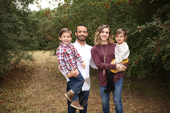 B Family (13)