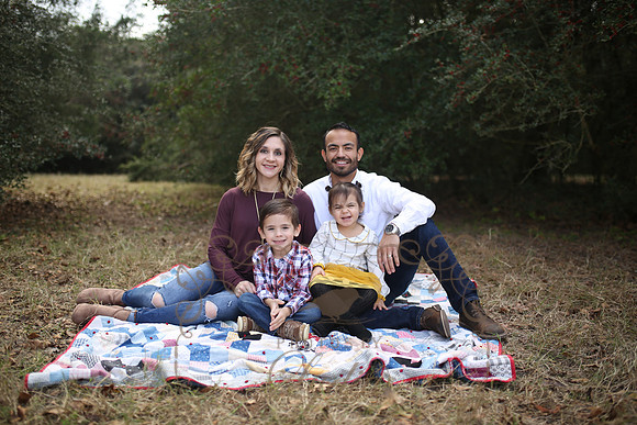 B Family (17)