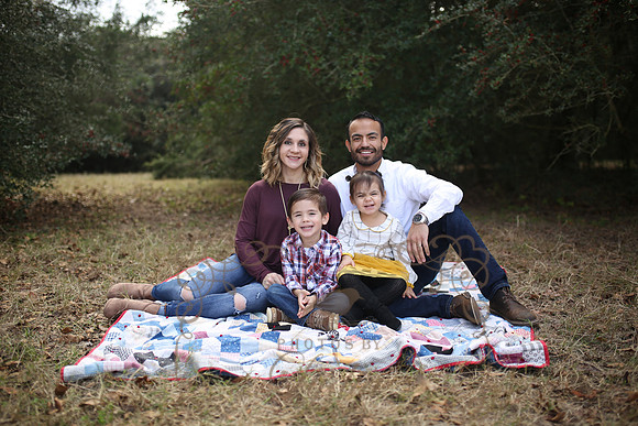B Family (18)