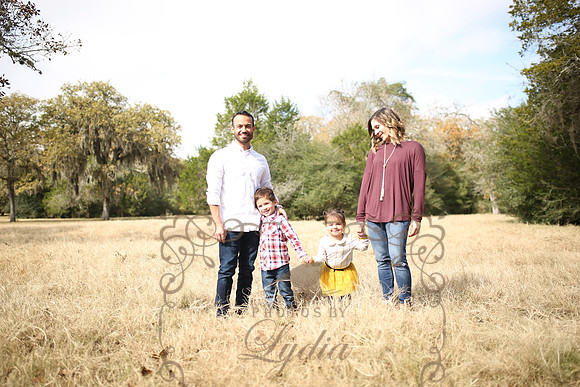 B Family (49)