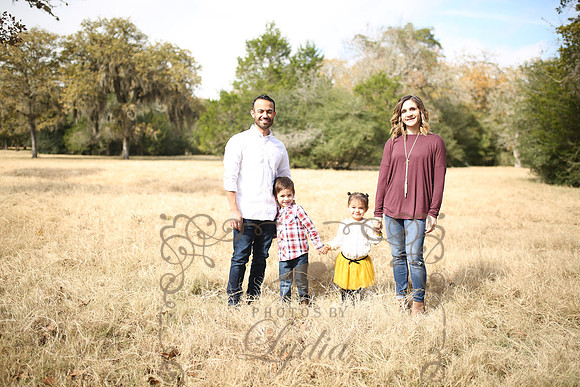 B Family (50)