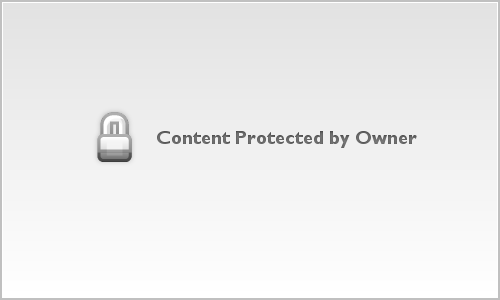 53 Alyna Washington