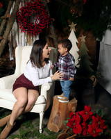 Christmas (8)
