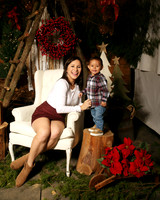 Christmas (9)